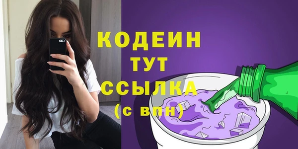 мдпв Лабытнанги