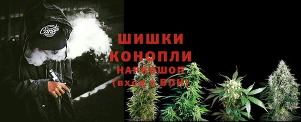 гашик Лагань