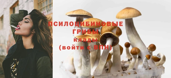 гашик Лагань