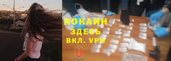 мдпв Лабытнанги
