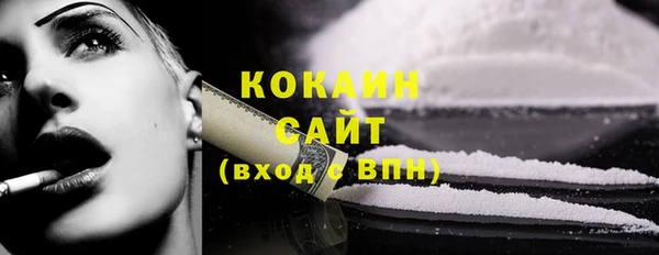дмт Лиски