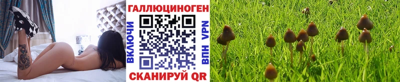 Галлюциногенные грибы GOLDEN TEACHER  Сусуман 